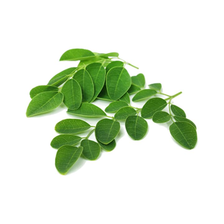 A Normadex moringa levelet tartalmaz – egy erőteljes természetes gyógymódot a paraziták ellen