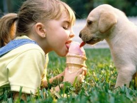 egy lány fagylaltot eszik egy kutyával, és megfertőződik parazitákkal